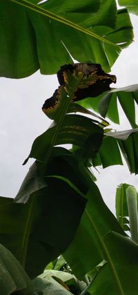 WhatsApp Image 2020-09-25 at 15.44.49