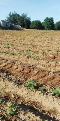 WhatsApp Image 2020-09-27 at 10.50.04