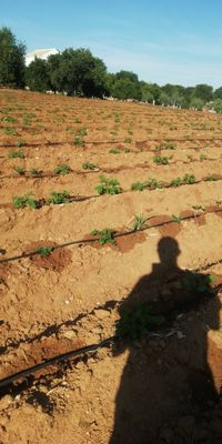 WhatsApp Image 2020-09-27 at 10.50.05