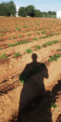 WhatsApp Image 2020-09-27 at 10.50.07