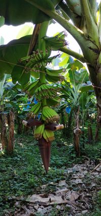 WhatsApp Image 2021-01-07 at 14.53.00