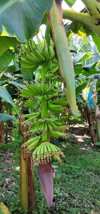 WhatsApp Image 2021-01-07 at 14.53.34