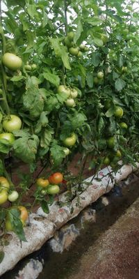 WhatsApp Image 2020-12-12 at 14.23.24