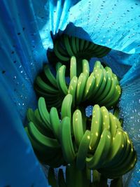 WhatsApp Image 2020-12-12 at 14.53.01