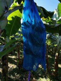 WhatsApp Image 2020-12-12 at 14.56.07 (1)