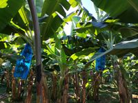 WhatsApp Image 2020-12-12 at 14.56.07