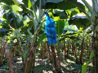 WhatsApp Image 2020-12-12 at 14.56.08