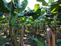 WhatsApp Image 2020-12-12 at 14.56.09 (1)