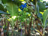 WhatsApp Image 2020-12-12 at 14.56.09