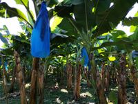 WhatsApp Image 2020-12-12 at 14.56.13 (1)