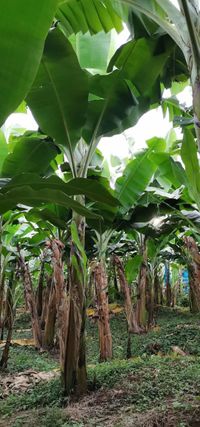 WhatsApp Image 2020-12-26 at 13.45.27