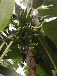 WhatsApp Image 2020-06-28 at 20.38.29