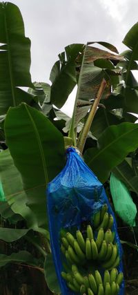 WhatsApp Image 2020-12-04 at 02.35.53 (5)