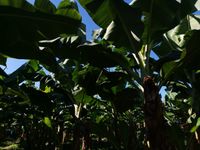 WhatsApp Image 2020-11-23 at 15.15.53