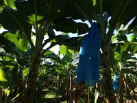 WhatsApp Image 2020-11-23 at 15.15.55