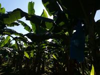 WhatsApp Image 2020-11-23 at 15.15.56