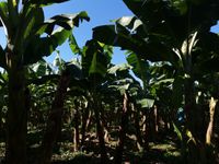 WhatsApp Image 2020-11-23 at 15.15.57