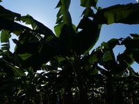 WhatsApp Image 2020-11-23 at 15.15.59