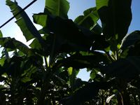 WhatsApp Image 2020-11-23 at 15.16.01