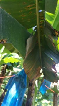 WhatsApp Image 2021-03-13 at 15.15.42