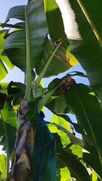 WhatsApp Image 2021-03-13 at 15.16.23