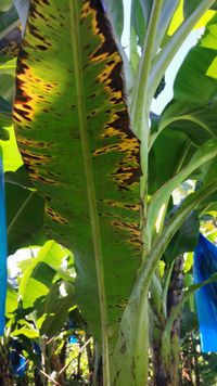 WhatsApp Image 2021-03-13 at 15.16.28