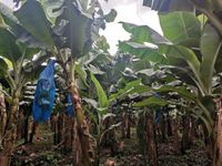 WhatsApp Image 2021-01-29 at 14.33.43