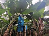 WhatsApp Image 2021-01-29 at 14.33.44 (1)