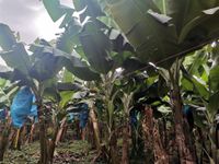 WhatsApp Image 2021-01-29 at 14.33.44 (2)