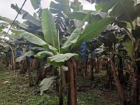 WhatsApp Image 2021-01-29 at 14.33.44