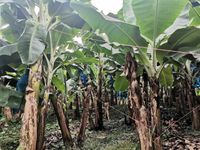 WhatsApp Image 2021-01-29 at 14.33.45