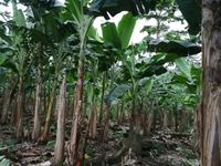 WhatsApp Image 2020-06-28 at 20.38.03