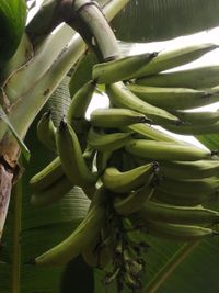 WhatsApp Image 2020-06-28 at 20.38.29