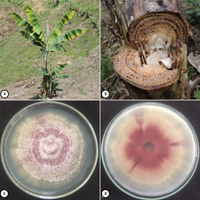 1240-Imágenes-7762-1-17-20190820