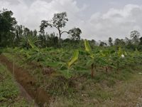 WhatsApp Image 2020-06-25 at 18.21.45 (1)