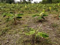 WhatsApp Image 2020-06-25 at 18.25.04 (2)