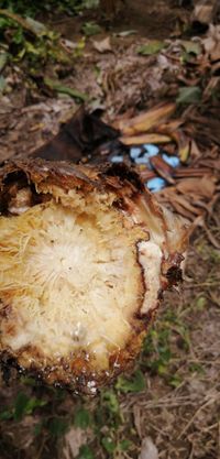 WhatsApp Image 2020-06-25 at 19.56.34 (1)