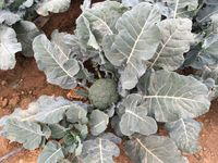 091F9D4E-74E8-4884-BBDF-1B69E29AF52A