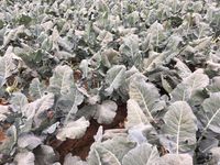 0E08B80D-B6F7-4ECD-8E4C-2C17CA3A81FA