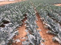 2A114036-1BE1-4DDB-9D13-E7DEFAA85E71