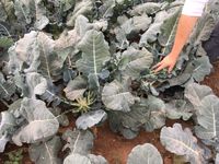 3710768E-82D0-48FC-93A1-C9EC21C52248