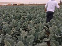 48A92775-12C8-431C-ABF0-FE772FDEEC44