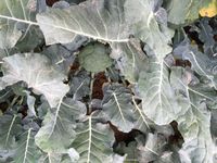 4CF73D7C-7FAA-49EE-A5CF-3138BE07C2F9