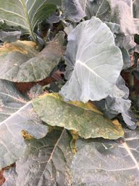 594D362E-3A43-4B92-8C29-A452B0D92D52