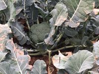 63597DA0-EF92-4DCA-B20D-D41AD6075493