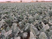 7814E376-1CC7-4D16-A47F-253B905E7C5B