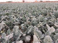 8796F674-2B09-4C12-A66E-64E9A75A2579