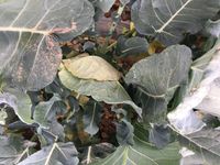 8B88306C-F550-40C5-B431-C2D65F92CF79