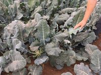 8CB277BD-B5BE-4837-AAA6-285B9F357160