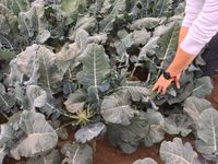 8E757F40-199F-4999-A5A2-DF0FFCE39407